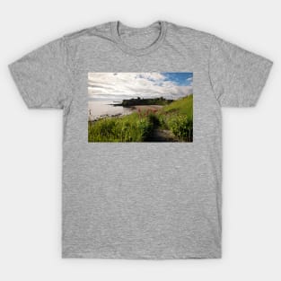 The Path to the Beach (2) T-Shirt